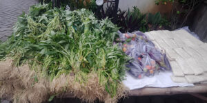 WhatsApp Image 2025-11-11 at 17.13.52