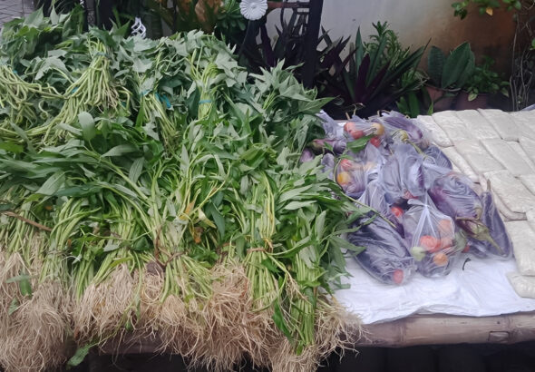 WhatsApp Image 2025-11-11 at 17.13.52